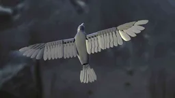 Silent Flyer