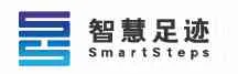 Smart Steps