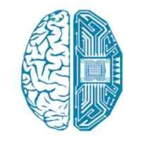 Deep Knowledge Analytics
