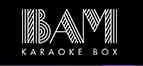 BAM Karaoke Box
