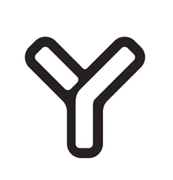 Y Experiment, VC Fund