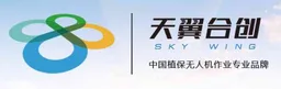 Sky Wing