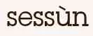 Sessun