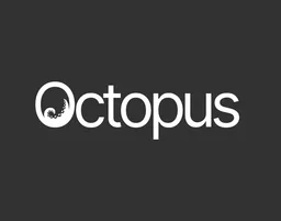 Octopus Systems & Security