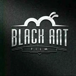 BLACK ANT