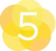 5Lights