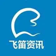 Feidi Zixun