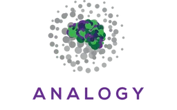 Analogy Co.
