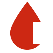 World Diabetes Foundation