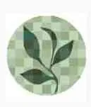 Sage Capital