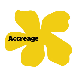 Accerage