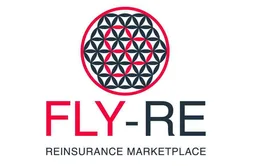 FLYRE LIMITED
