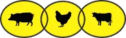 Agricare Ltd.