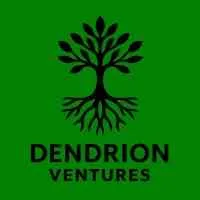 Dendrion Ventures
