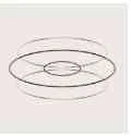 Torus